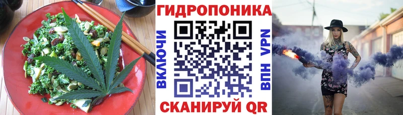 где найти наркотики  Архангельск  Cannafood марихуана 