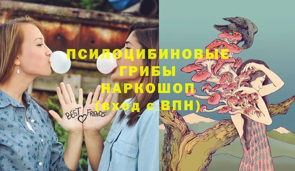 a pvp Алексеевка